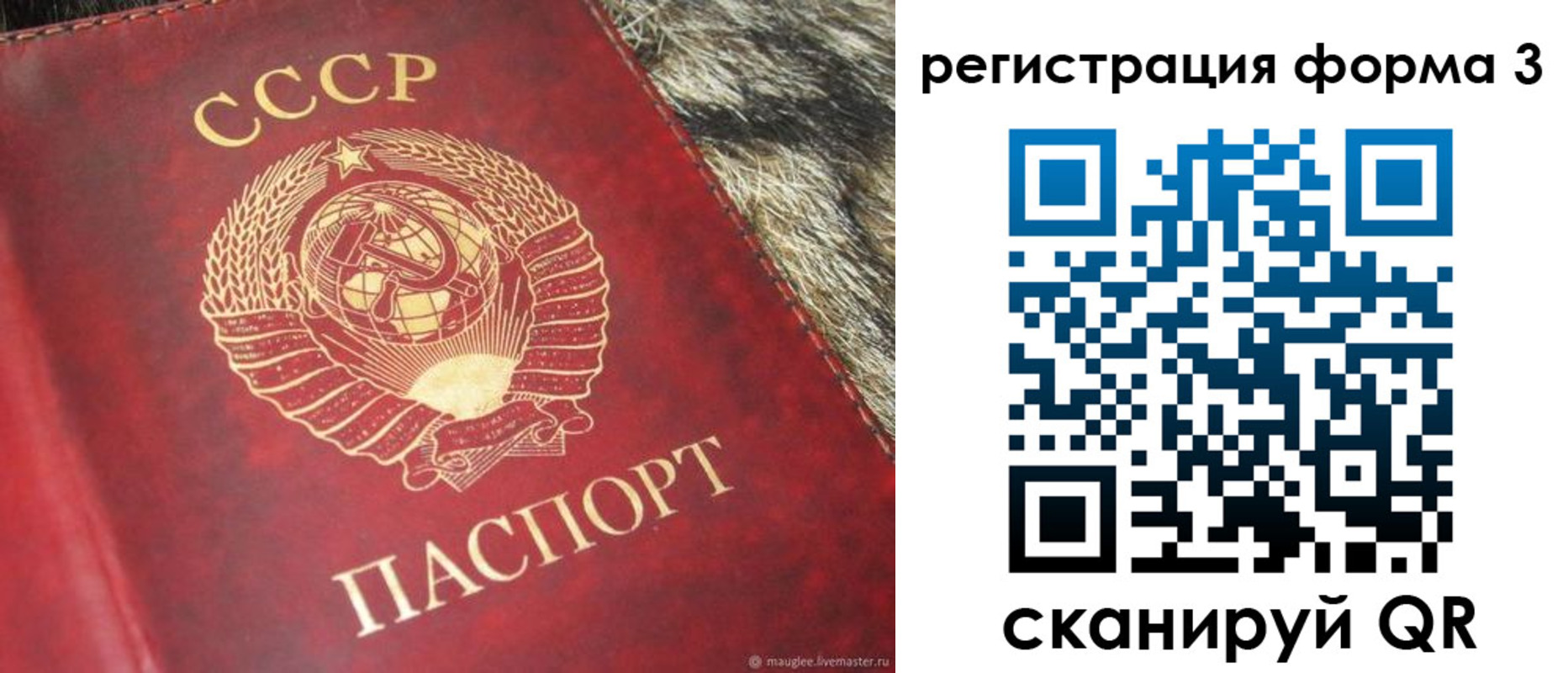 прописка регистрация в Амурской области